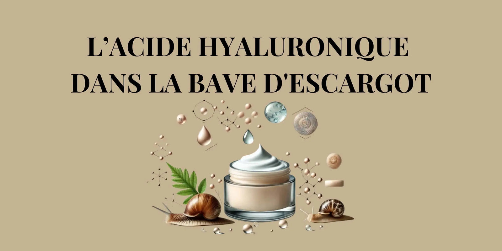 Acide Hyaluronique dans la Bave d'Escargot