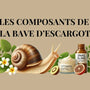 Quelle est la Puissance de la Bave d'Escargot et ses composants ?